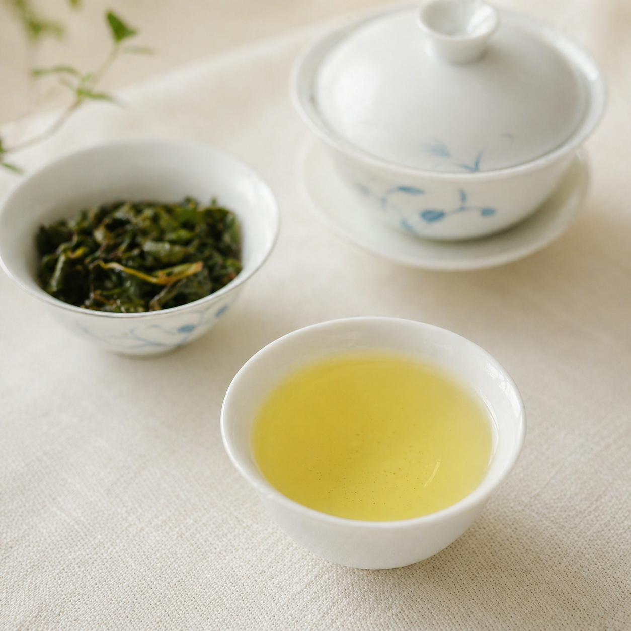 高級台湾茶　梨山華岡茶　75g X 8袋 梨山華崗茶｜華崗水源頭－梨山高冷茶－天下第一好茶