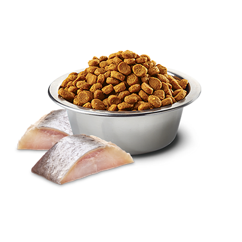 N&D – 天然螺旋藻無穀系列 - (成貓) 鯡魚 Grain Free Spirulina Herring for ADULT 1.5kg