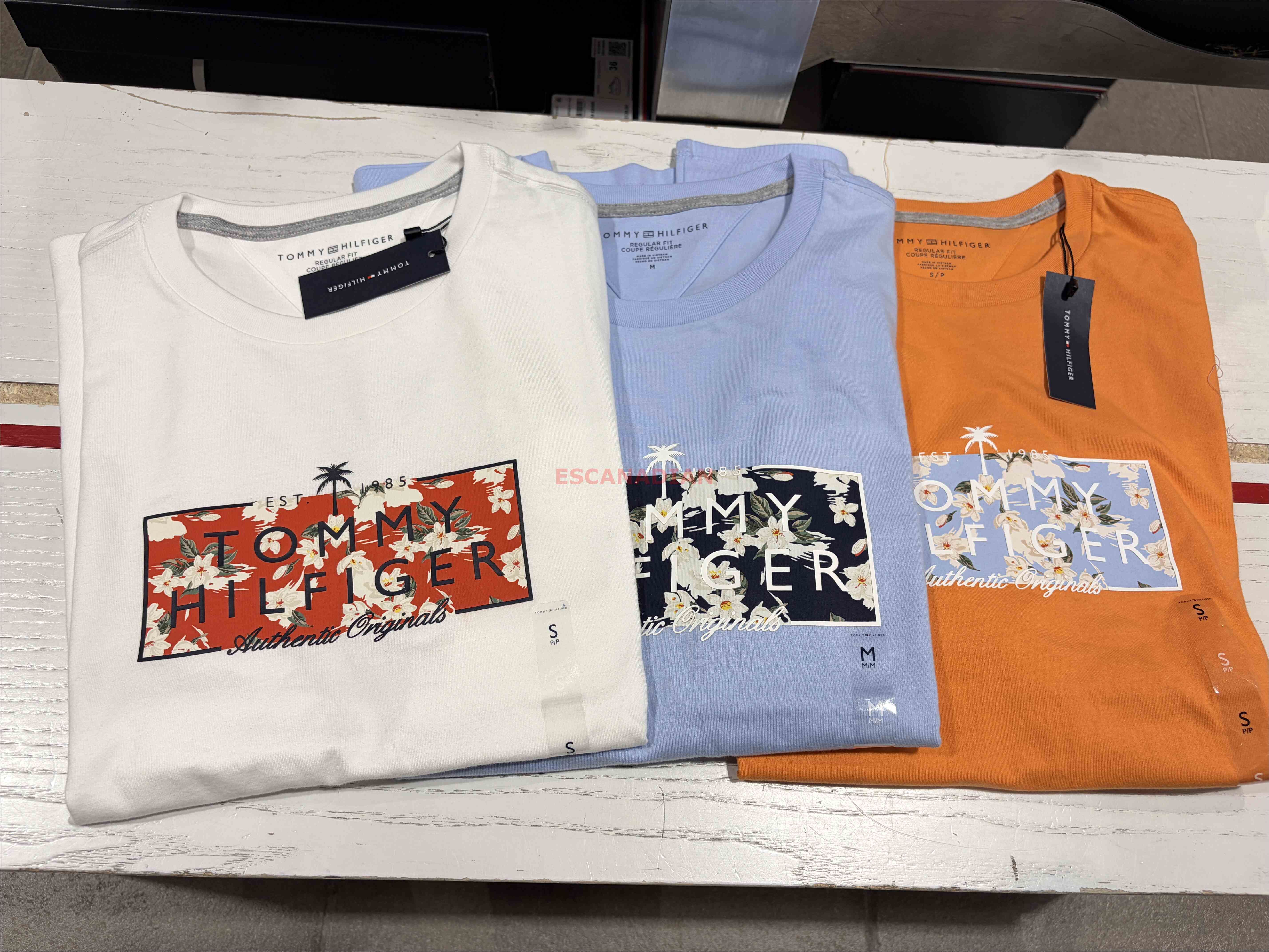 TOMMY 男大人 夏季圖案 短TEE (3色)