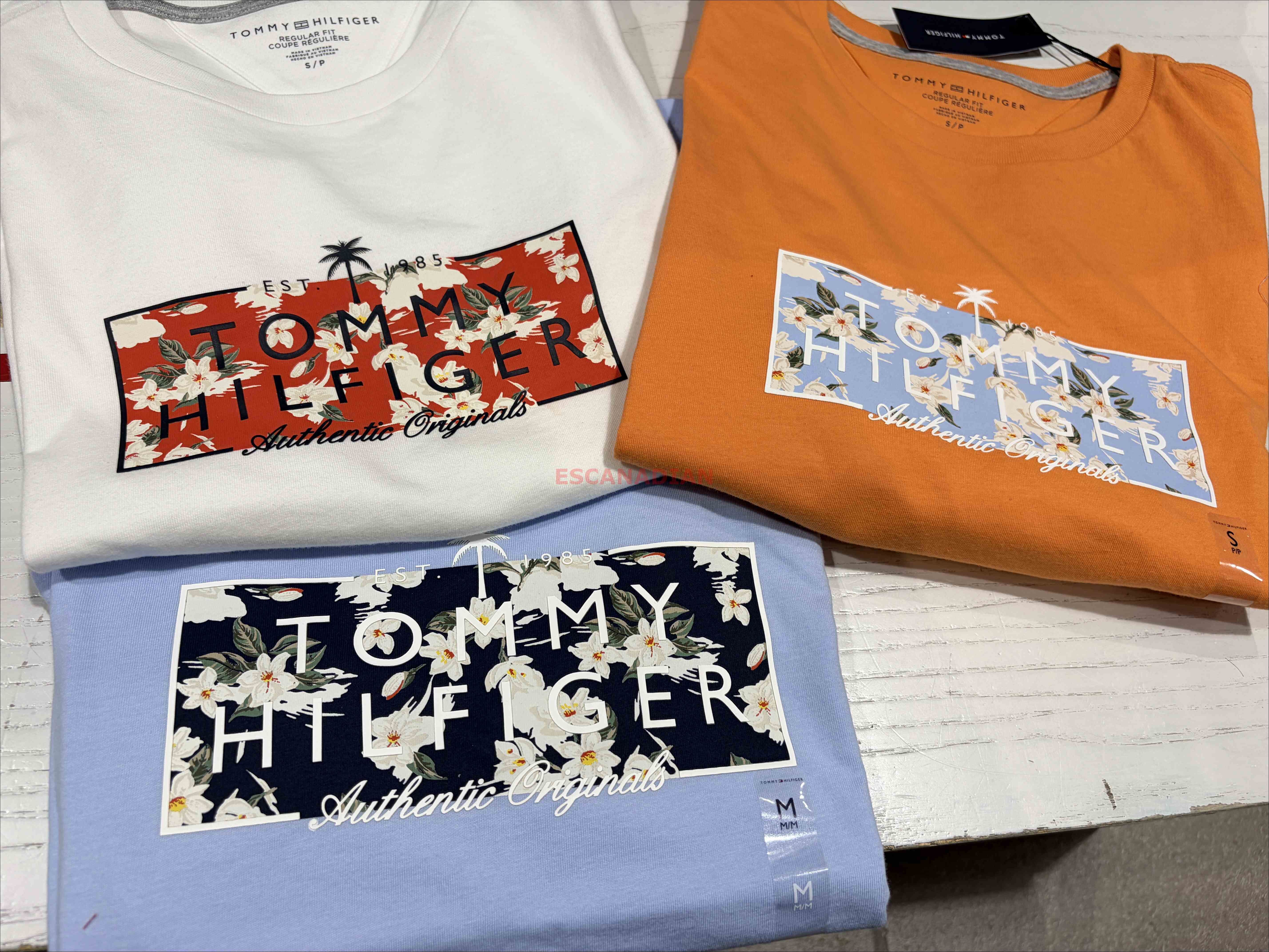 TOMMY 男大人 夏季圖案 短TEE (3色)