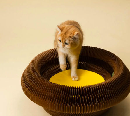 PP Lab 酥皮蛋撻床 貓床