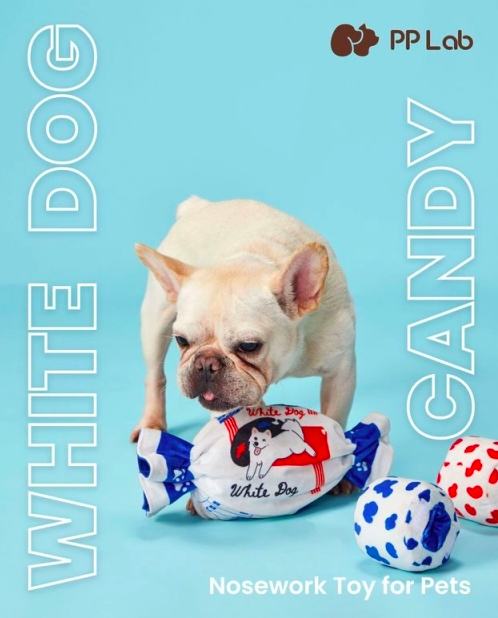 PP Lab 大白狗糖藏食玩具