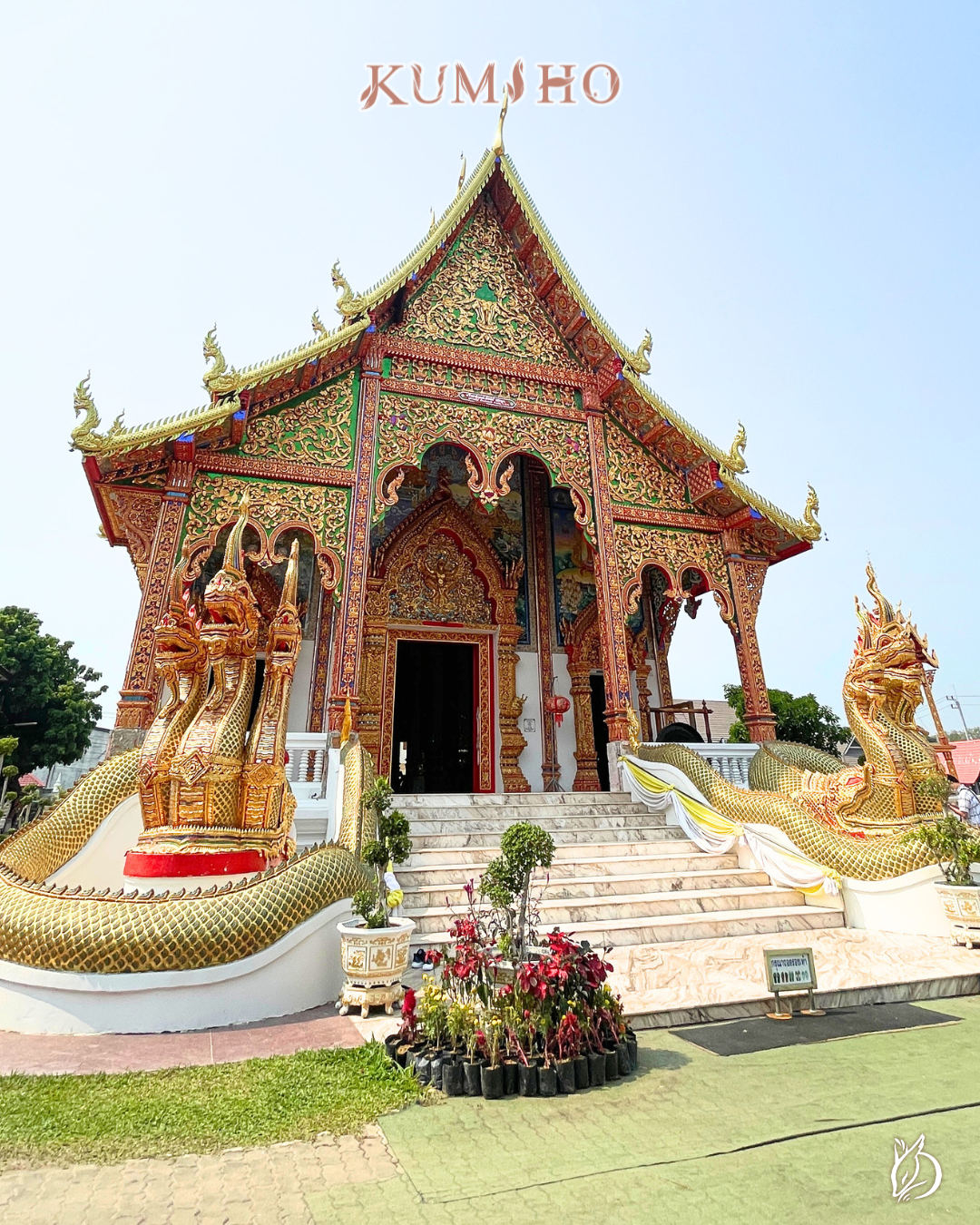 泰國那伽真實身份