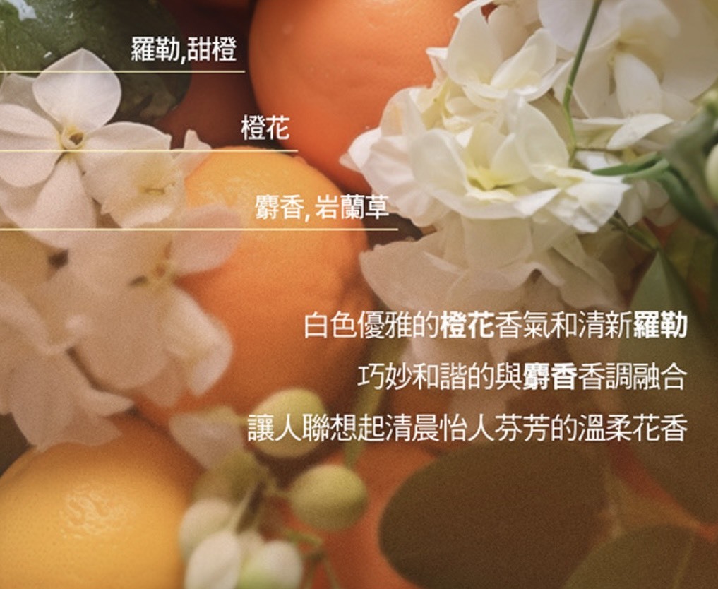 朵蔓 草本去屑生薑洗髮精 490ml