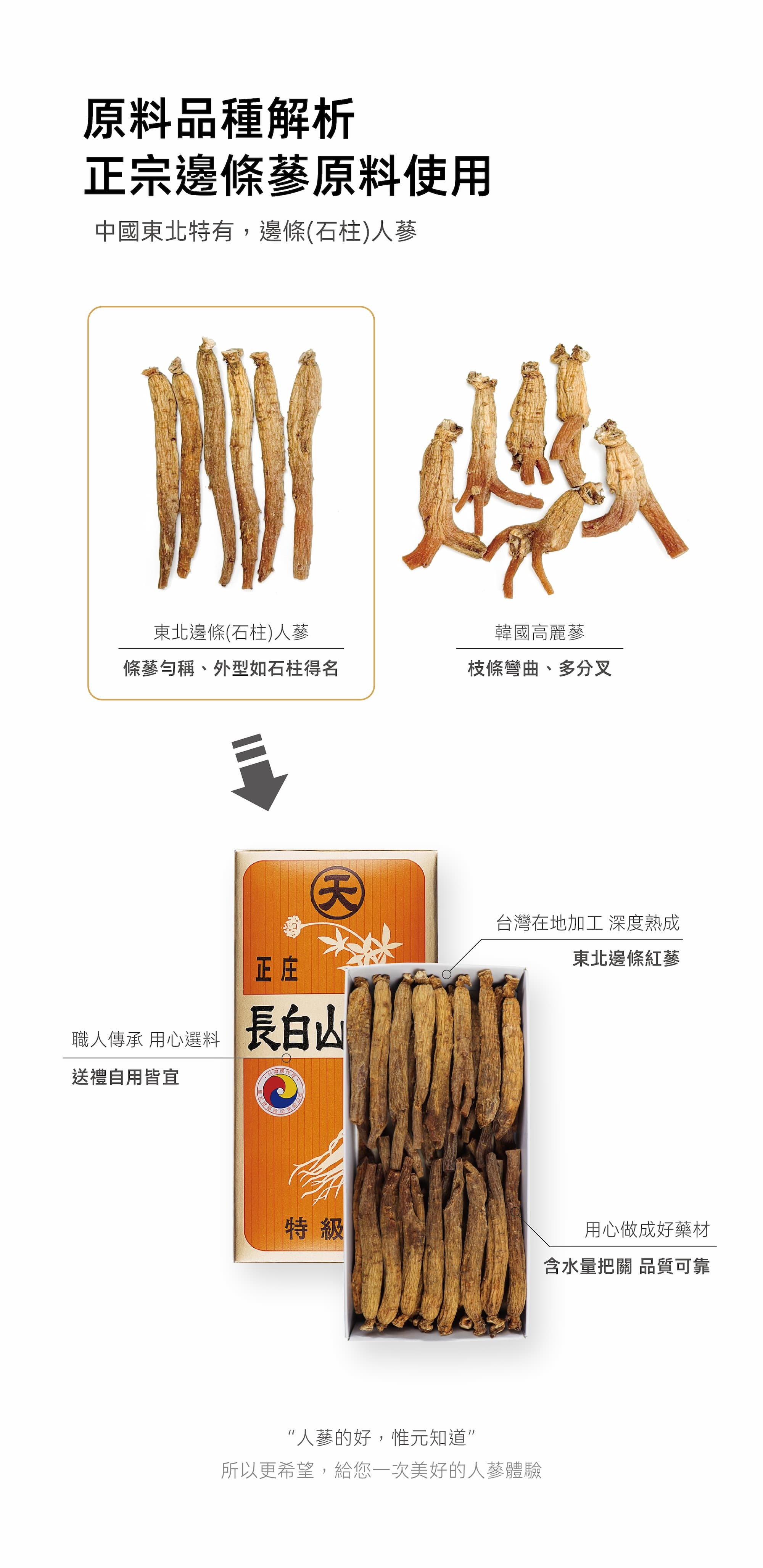 長白山邊條蔘原料與韓國高麗參比對圖
