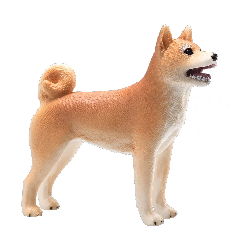 柴犬