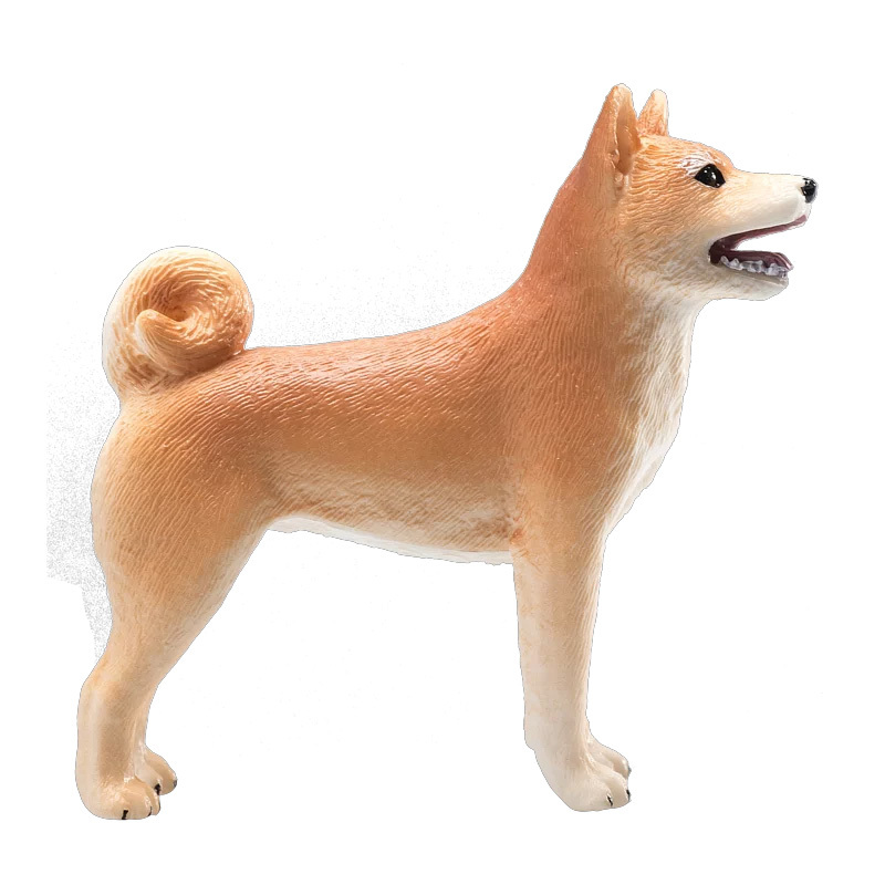 柴犬