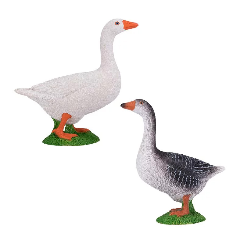 鵝