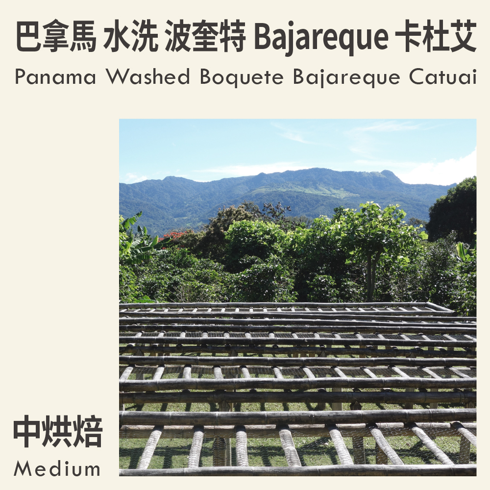 巴拿馬 水洗 波奎特 Bajareque 卡杜艾