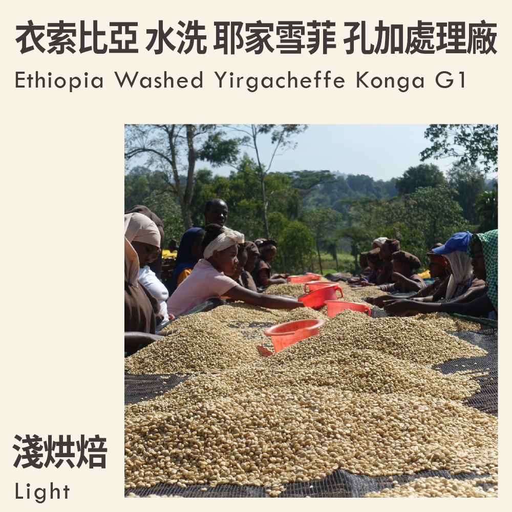 衣索比亞 水洗 耶家雪菲 孔加處理廠 G1