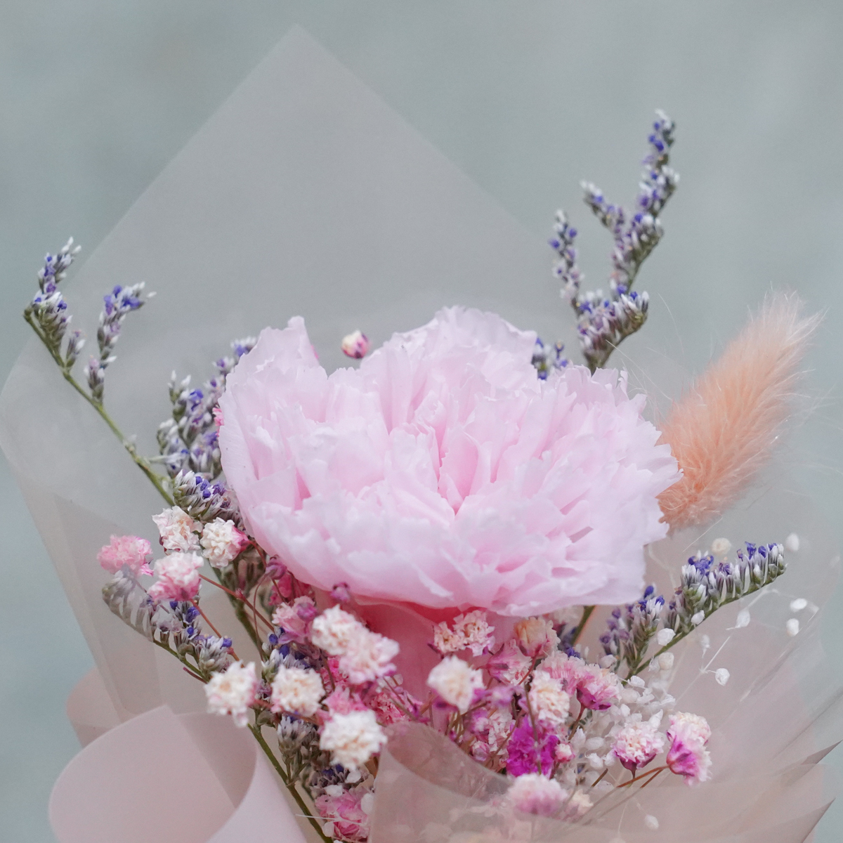 康乃馨瓶中花,瓶中花設計康乃馨瓶中花設計特寫玻璃罩22