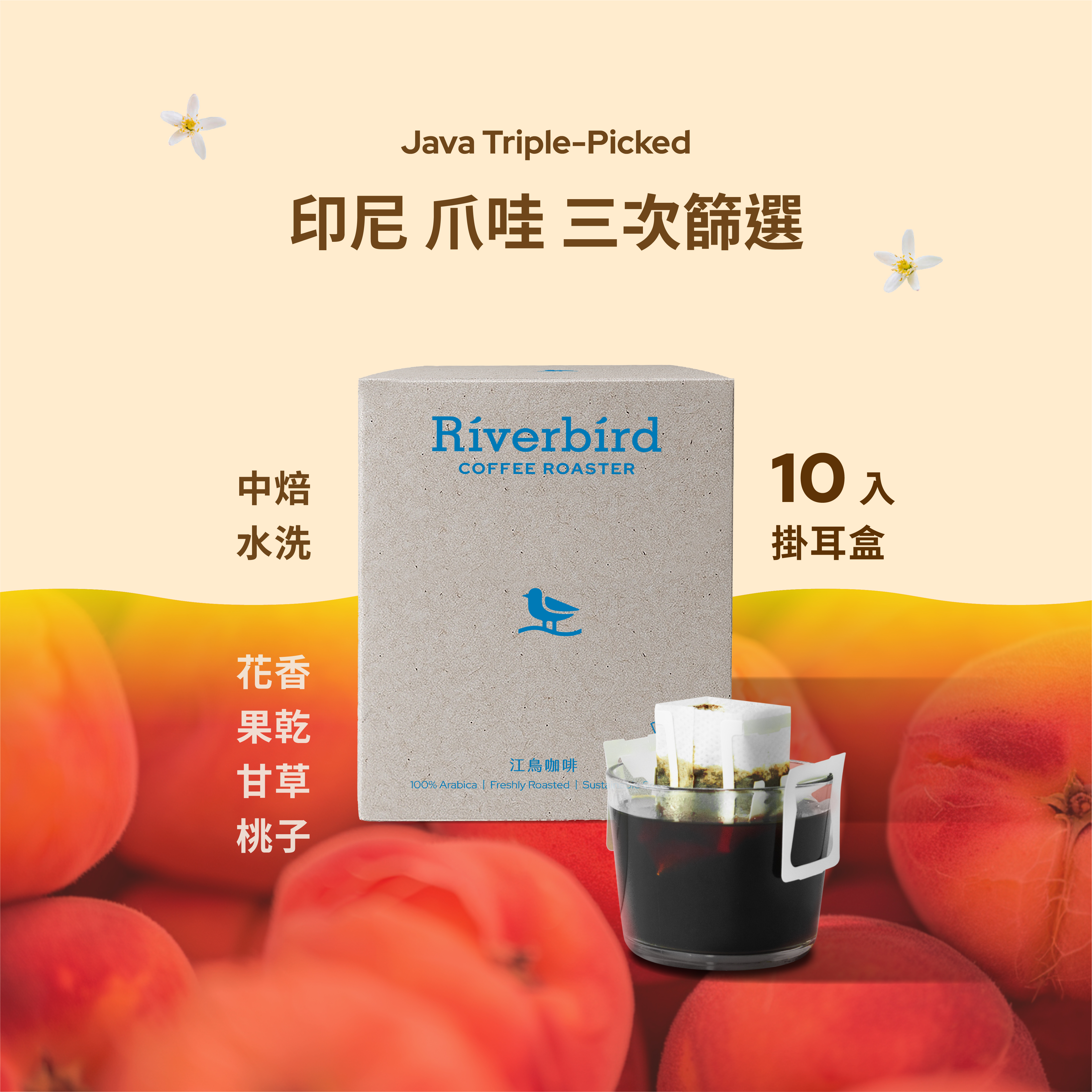 【一期一會】《10入掛耳》印尼 爪哇 三次篩選 中焙/水洗