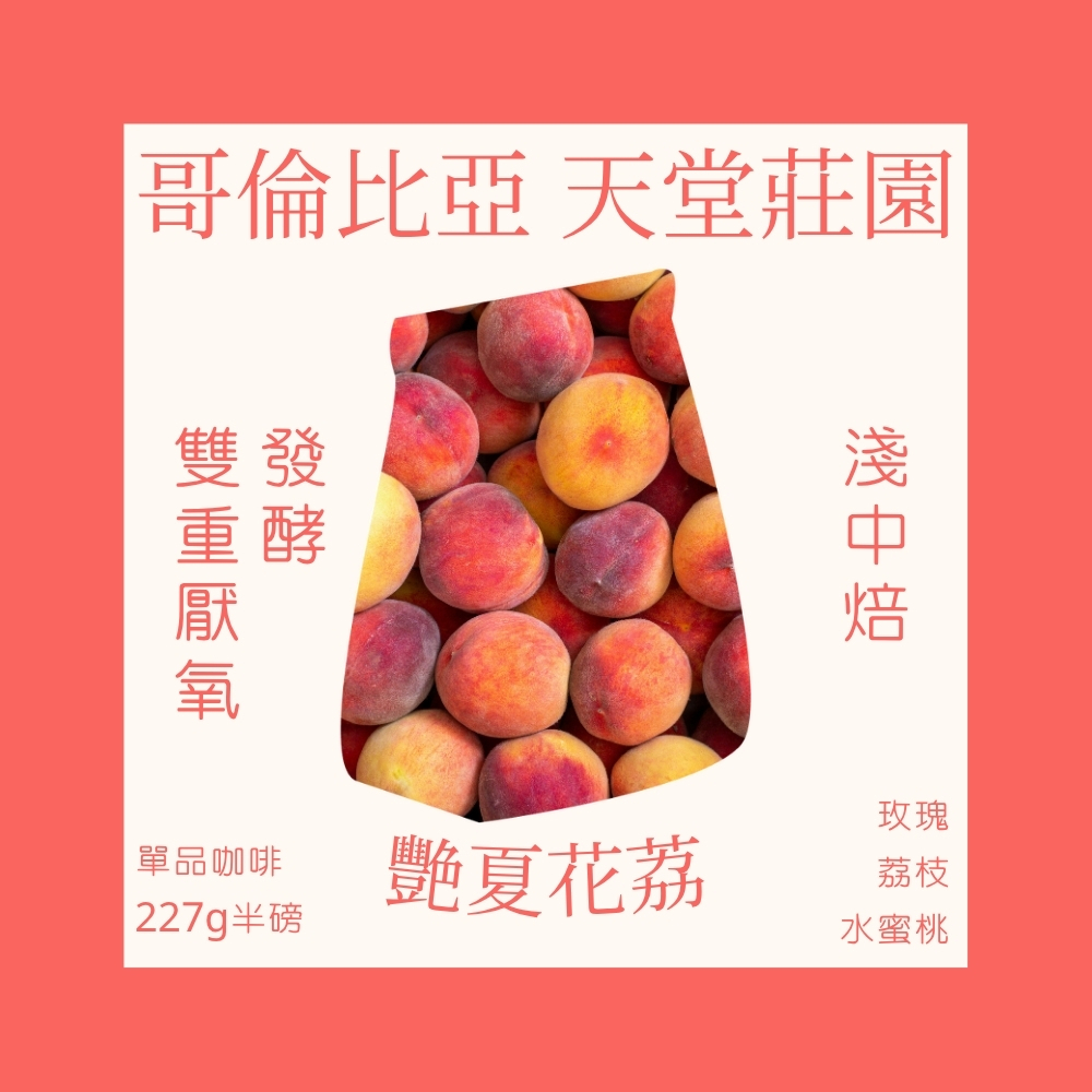 淺中焙｜哥倫比亞 天堂莊園 艷夏花荔｜雙重厭氧｜爆發系荔枝與玫瑰花香 (半磅)｜暖窩咖啡