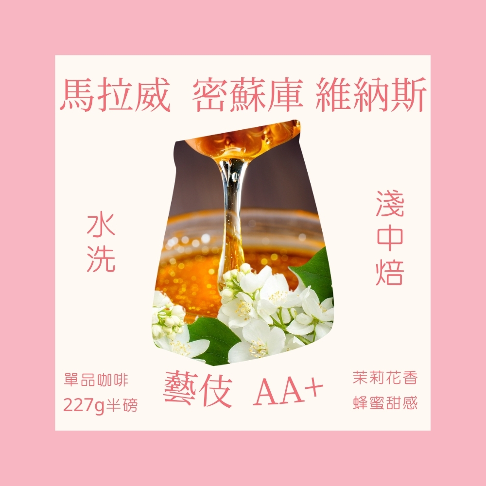 淺中焙｜馬拉威藝伎咖啡豆｜密蘇庫・維納斯 Geisha AA+ 水洗處理法 (半磅)｜茉莉花香與蜂蜜甜感｜暖窩咖啡