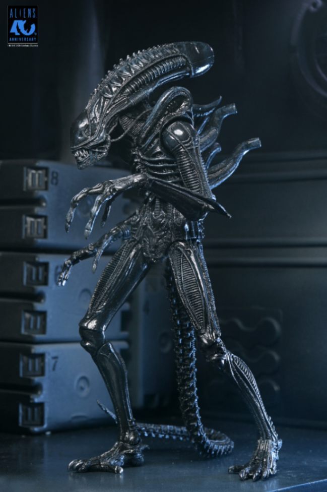 (預訂) NECA NEC51796 Ultimate Warrior Xenomorph (Black) 40th Anniversary