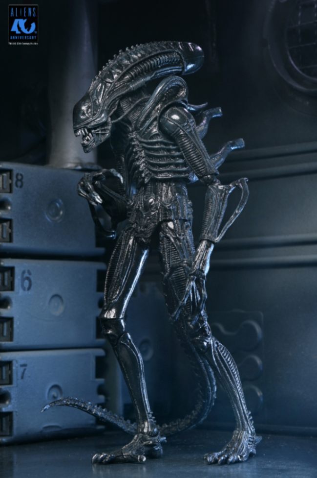 (預訂) NECA NEC51796 Ultimate Warrior Xenomorph (Black) 40th Anniversary