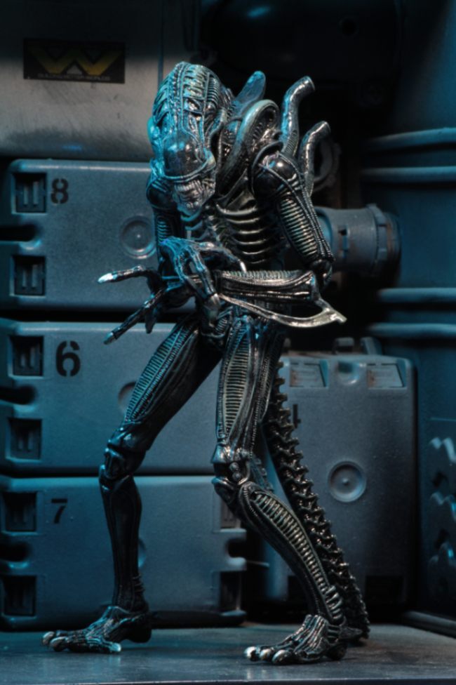 (預訂) NECA NEC51647 Aliens Ultimate Warrior 1986 (Blue) Action Figure