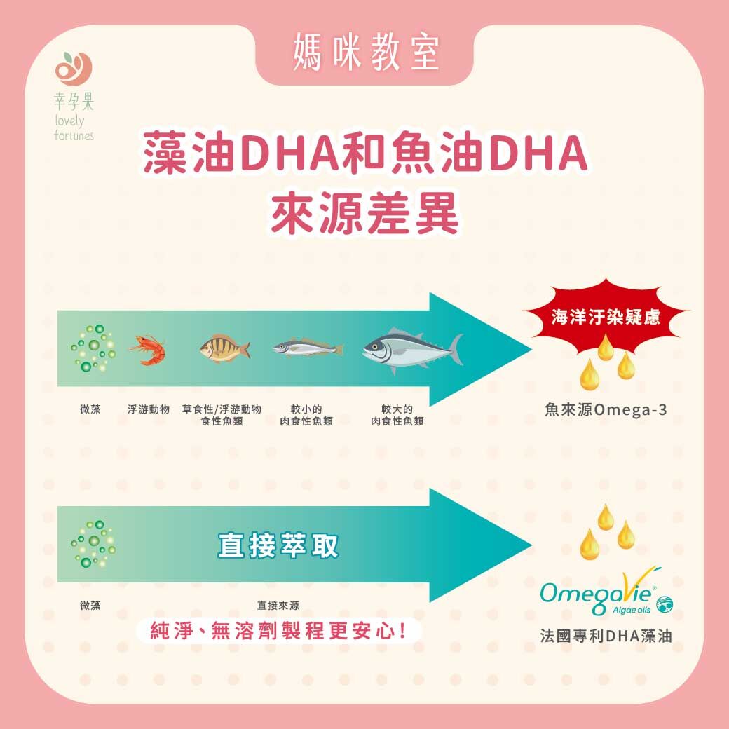 幸孕果媽咪教室 孕哺媽咪必讀：穩定補充 DHA，守護寶寶成長力