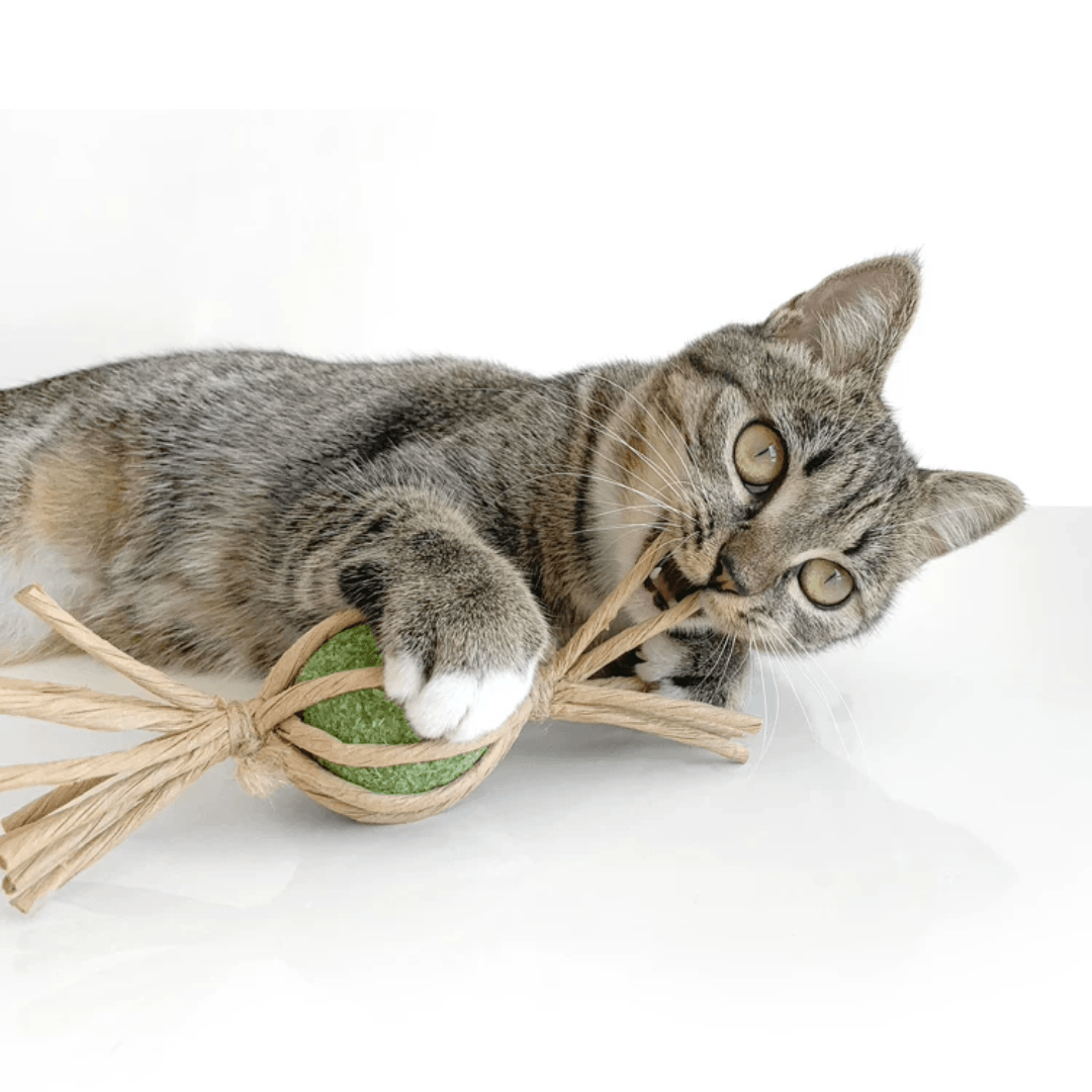 catwant 貓薄荷大糖果