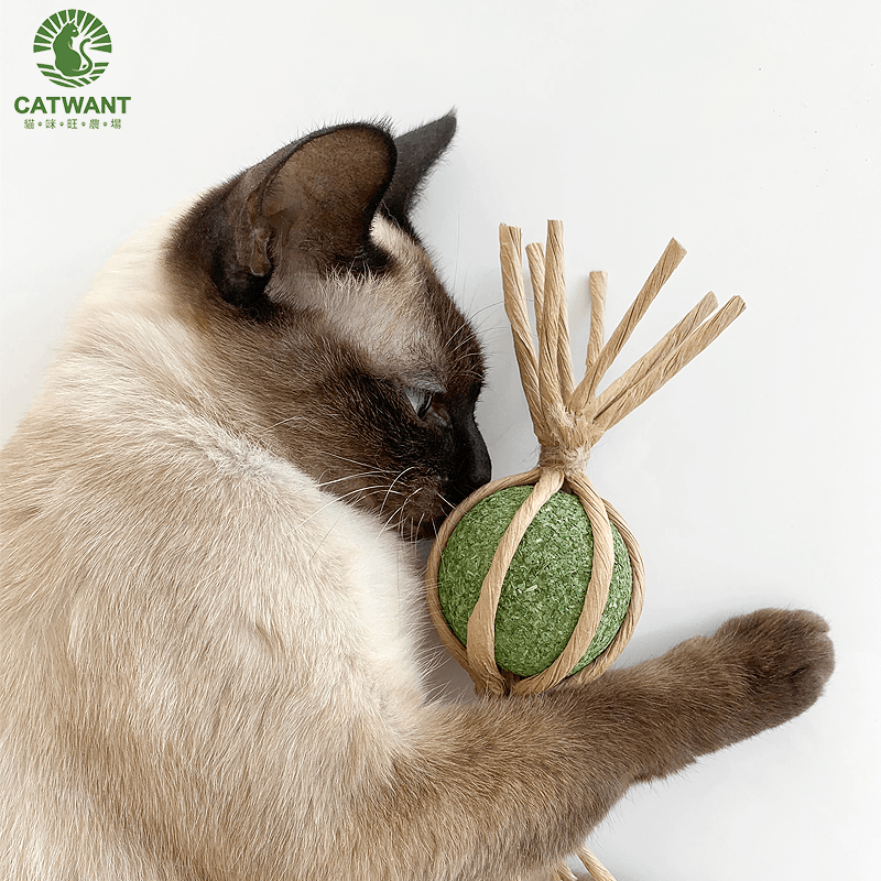 catwant 貓薄荷大糖果