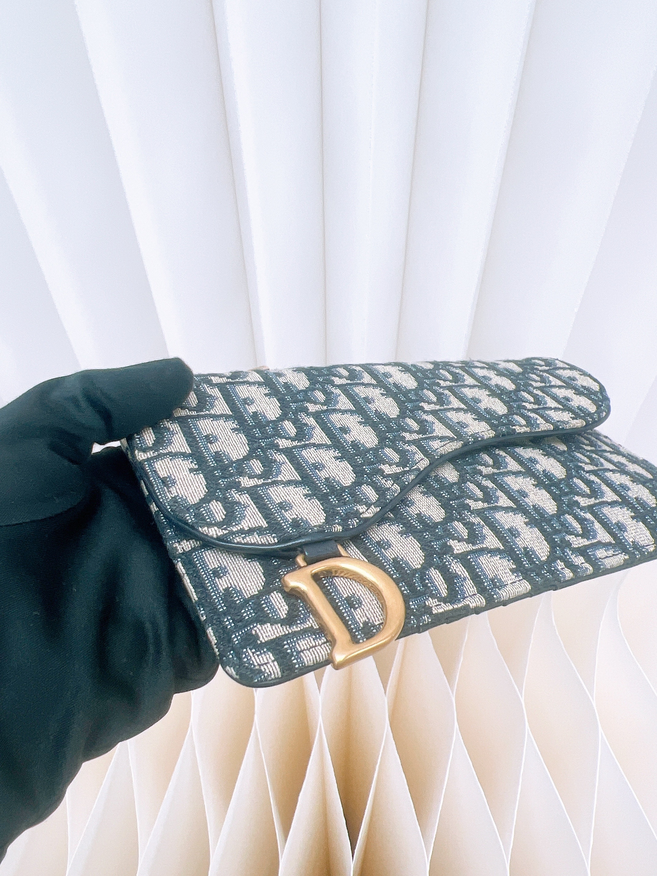 Dior saddle pouch/ passport holder (blue oblique)