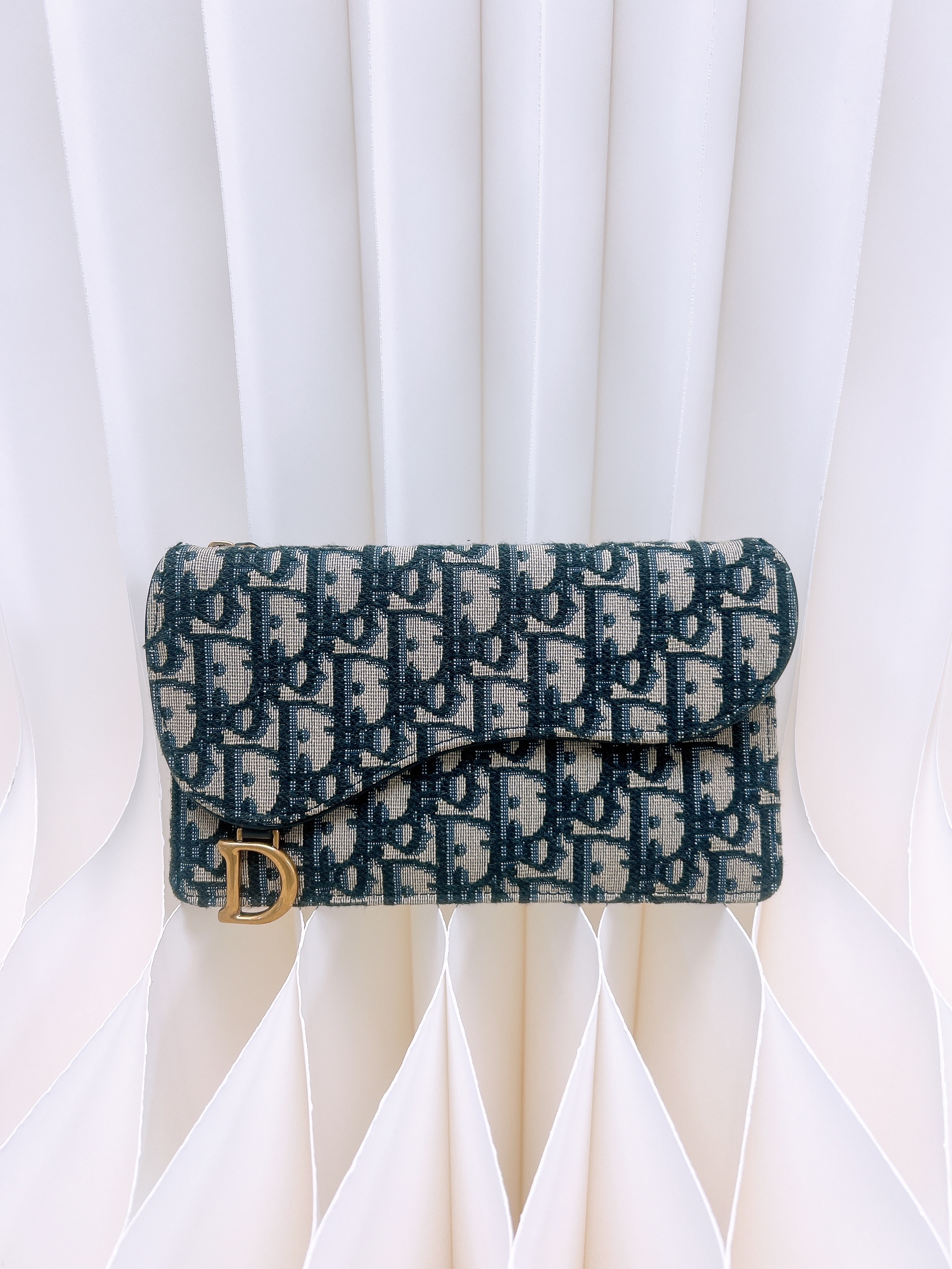 Dior saddle pouch/ passport holder (blue oblique)