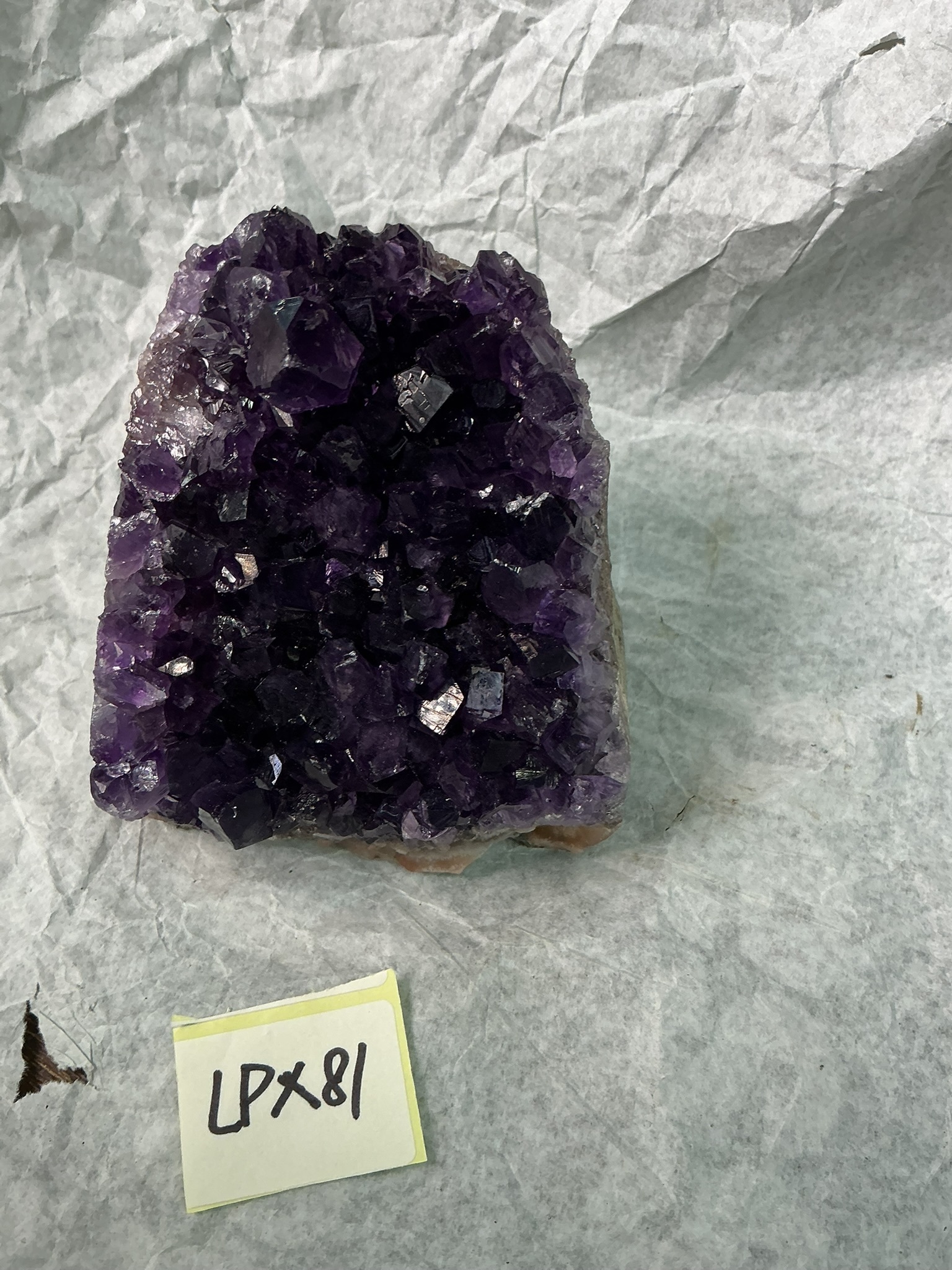 ZB463 LPX81 紫水晶擺件 0.46-0.64kg