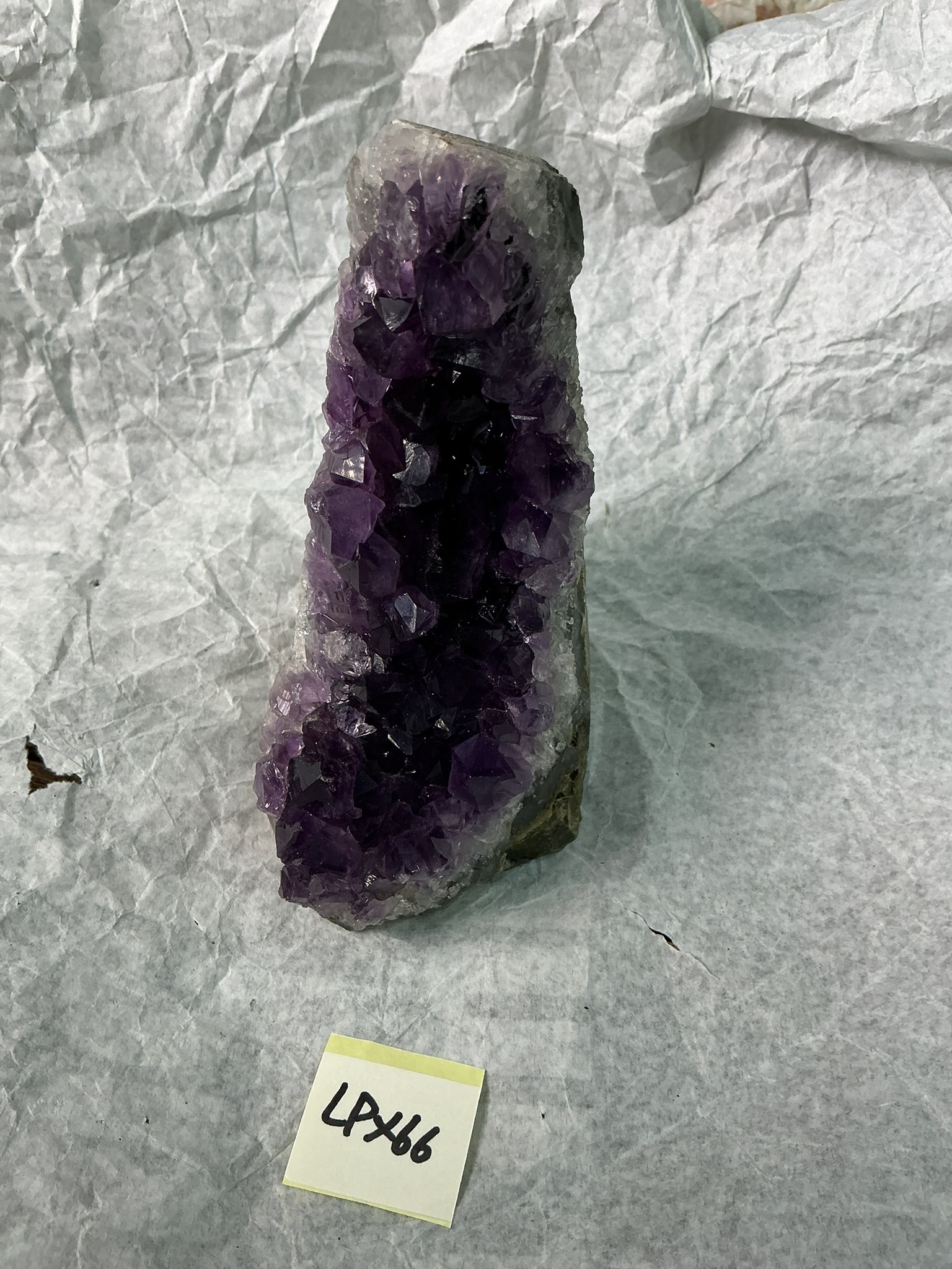 ZB448 LPX66 紫水晶擺件 0.46-0.64kg