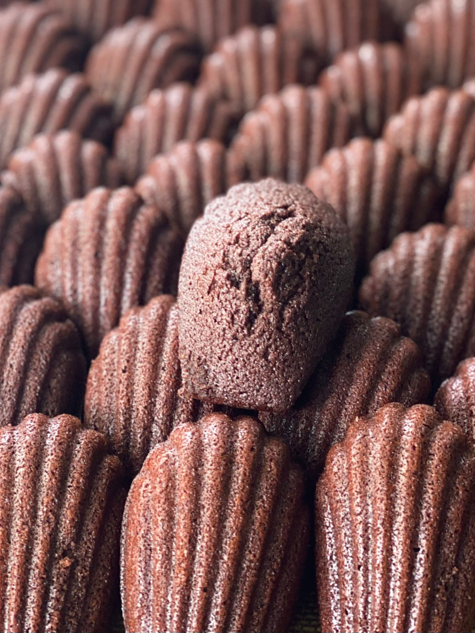 Dark Chocolate Madeleine [extra rich]