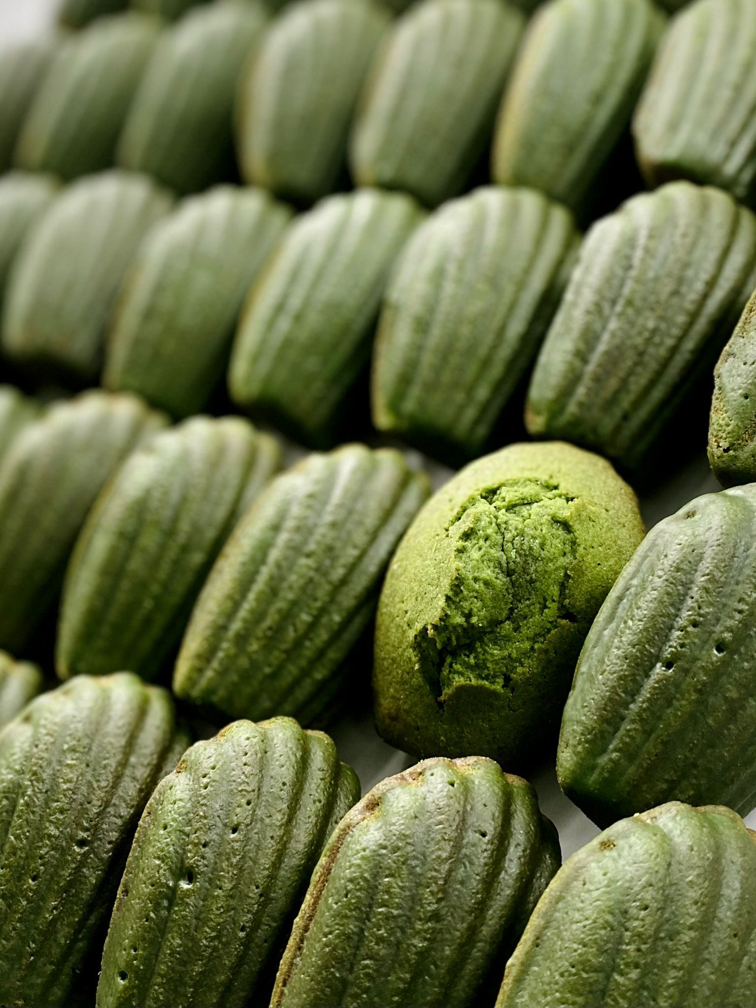 Matcha Yuzu Madeleine