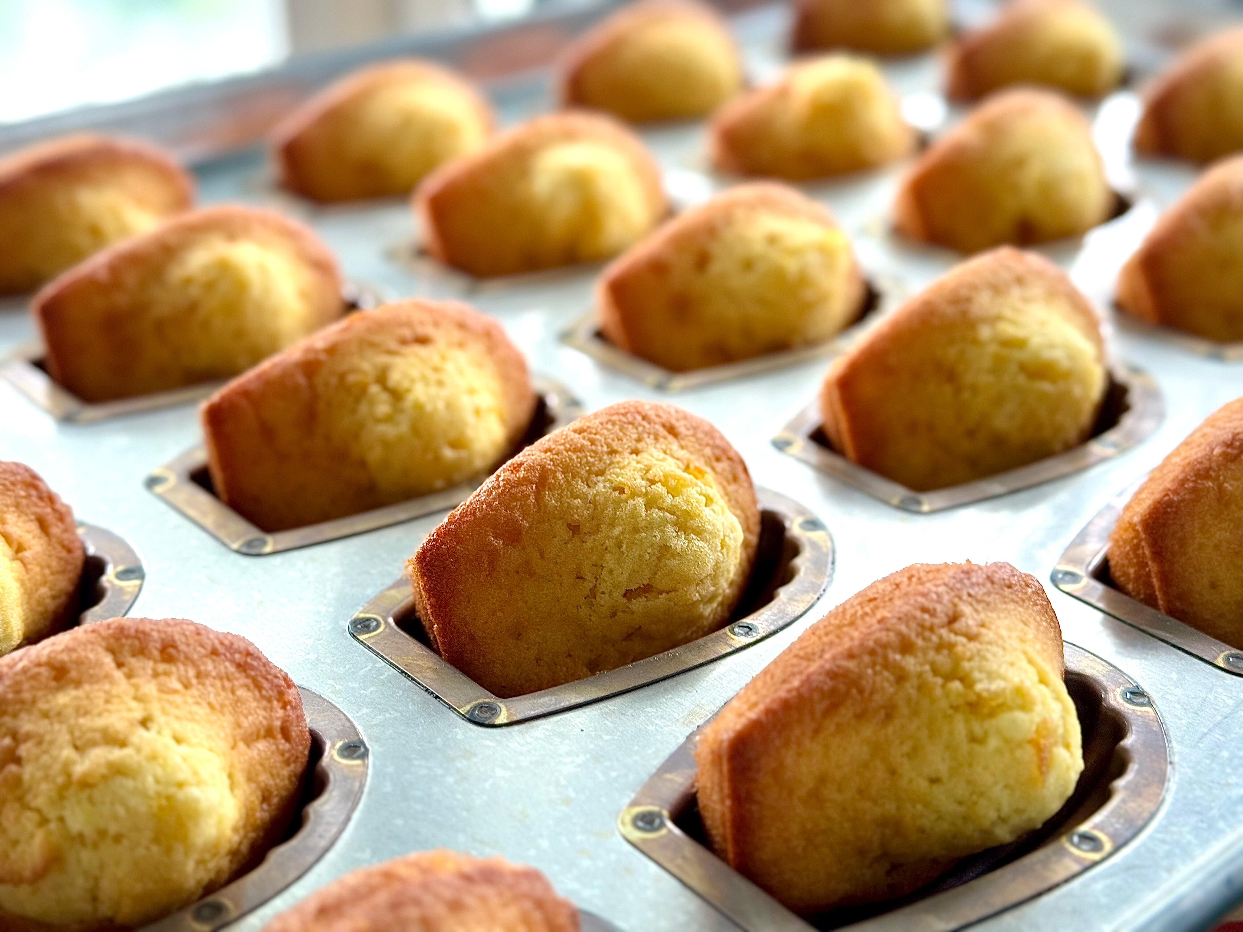 Lemon Madeleine