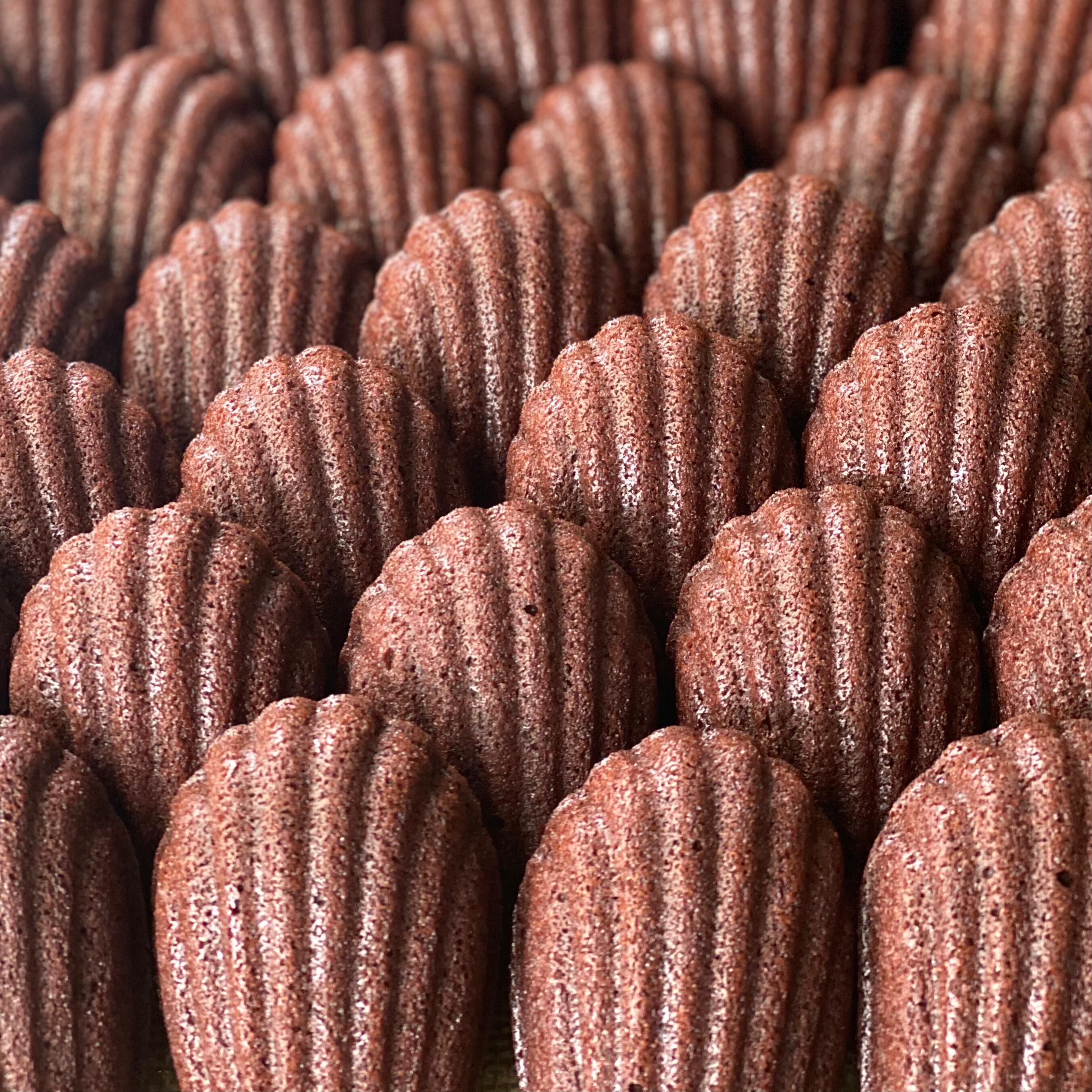Dark Chocolate Madeleine [extra rich]