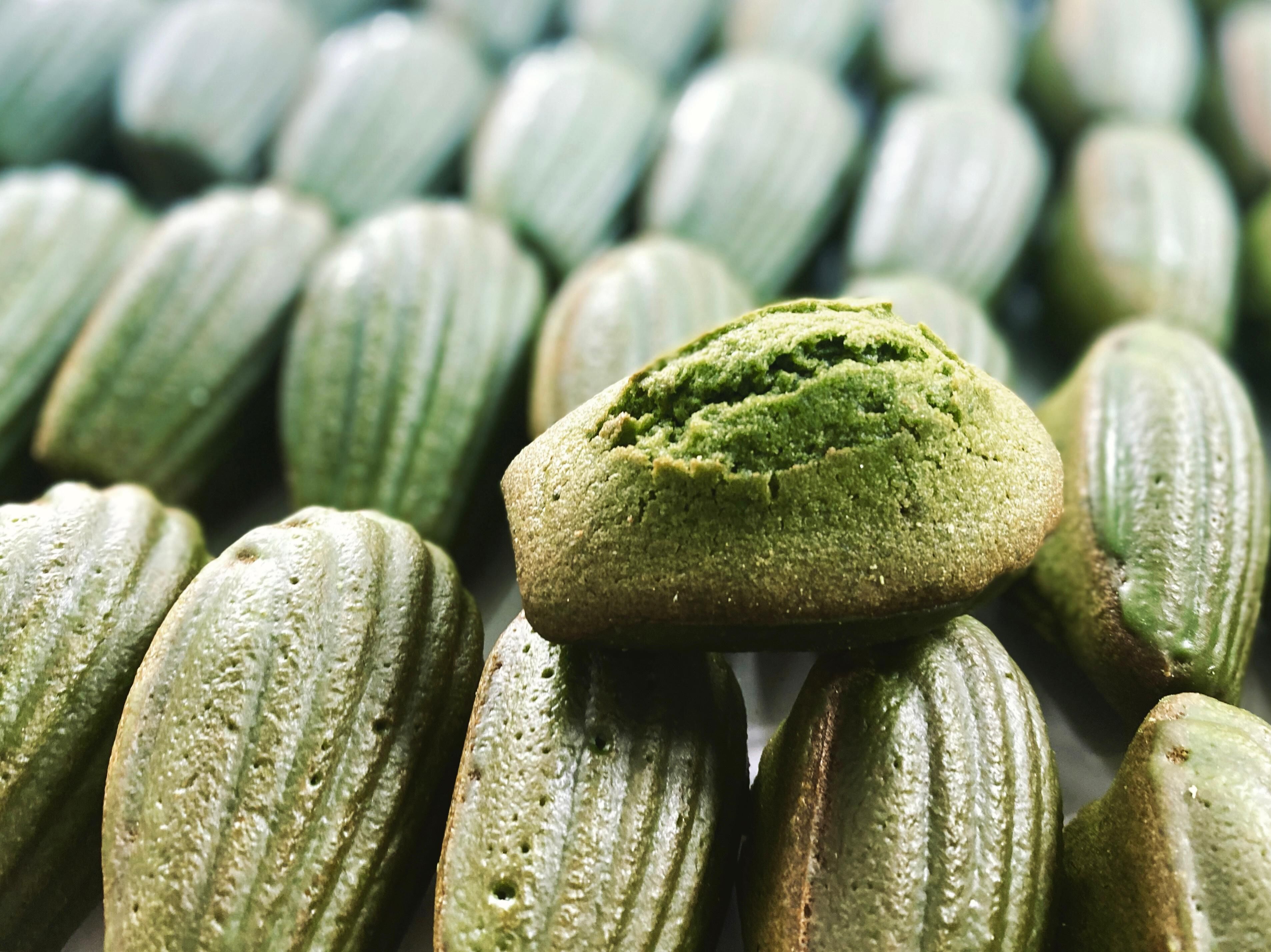 Matcha Yuzu Madeleine