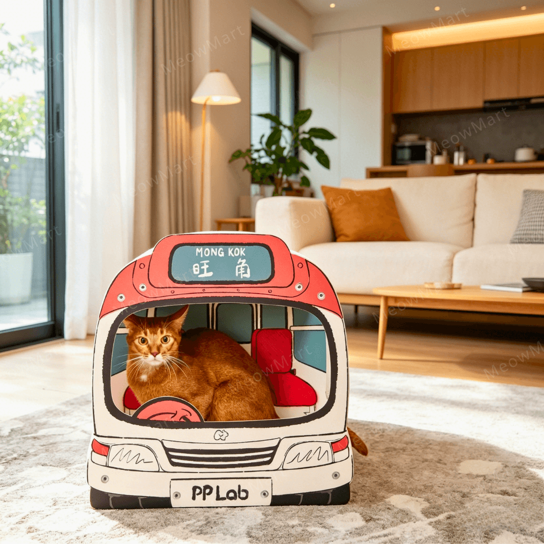 PP LAB 香港小巴貓抓板