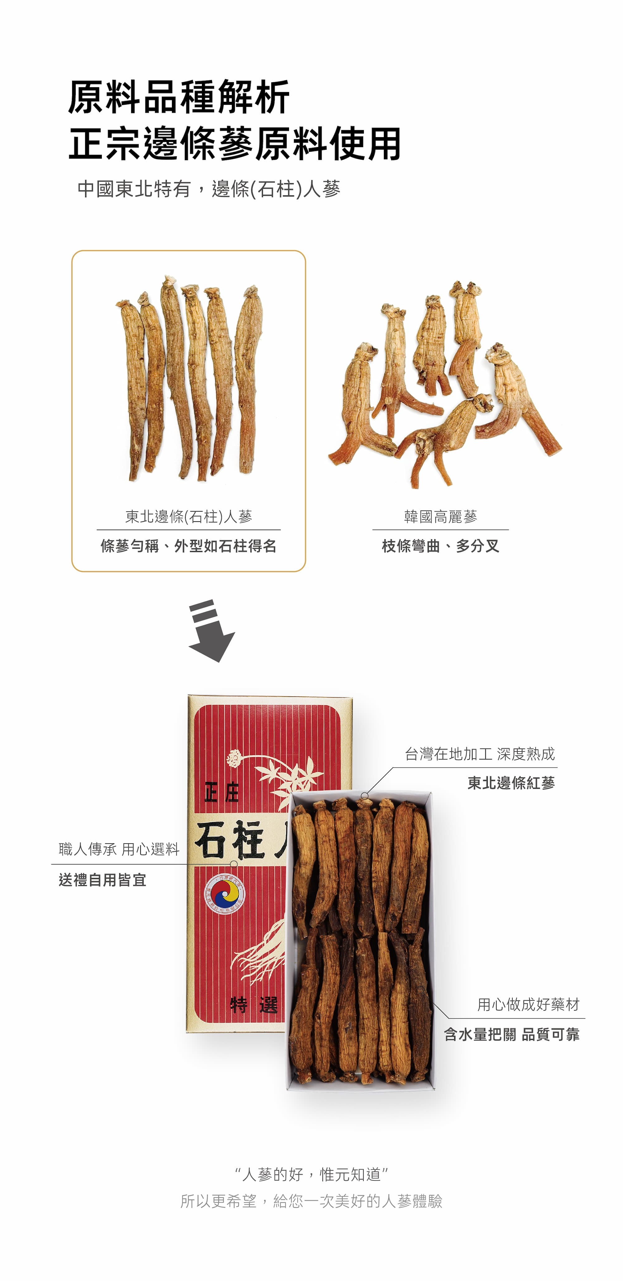 石柱人參與韓國人蔘比照圖