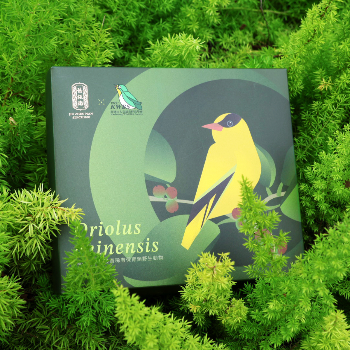 【舊振南x野鳥學會公益禮盒】鳳梨酥6入 (奶蛋素)｜舊振南