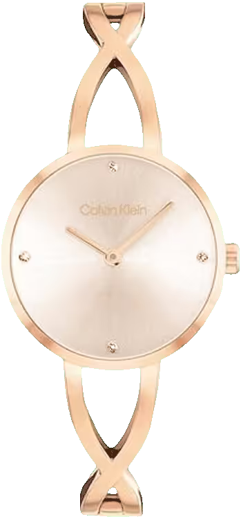 萬年鐘錶 - Calvin Klein  CK  玫瑰金優雅質感手環女錶 CK25100116  錶徑28MM