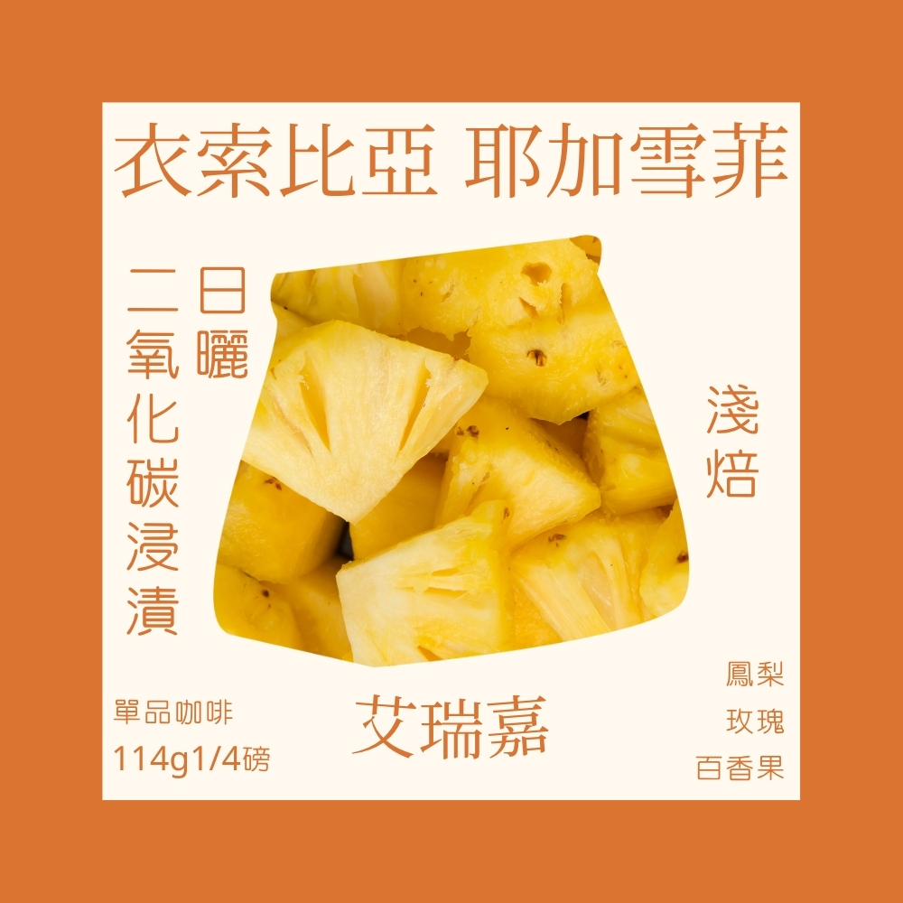 淺焙｜衣索比亞 耶加雪菲 艾瑞嘉 二氧化碳浸漬+日曬處理法 1/4磅 咖啡豆