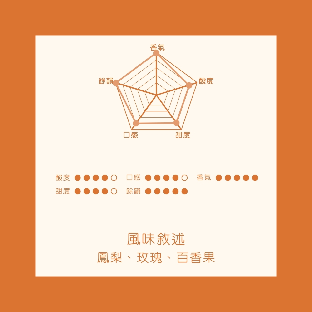 淺焙｜衣索比亞 耶加雪菲 艾瑞嘉 二氧化碳浸漬+日曬處理法 1/4磅 咖啡豆