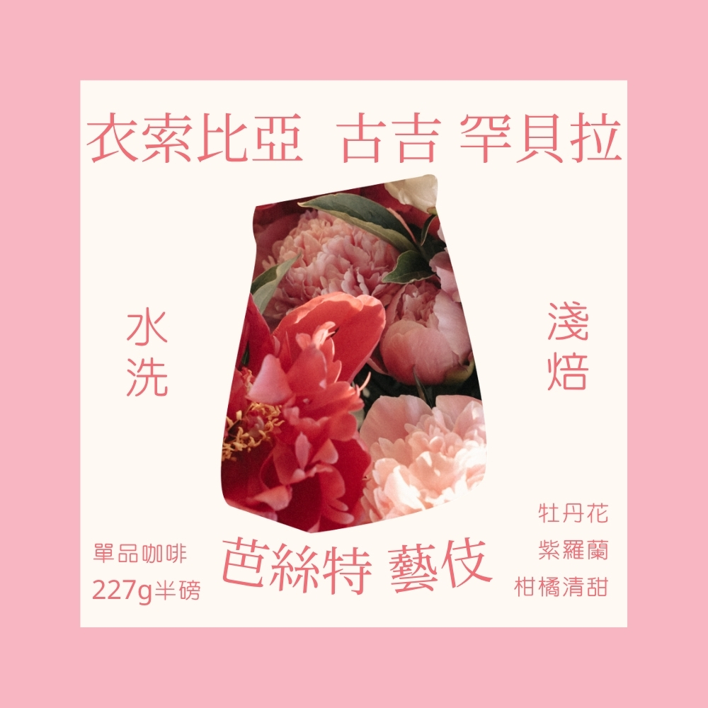 淺焙｜衣索比亞 古吉 罕貝拉 芭絲特 藝伎 水洗處理法 咖啡豆 半磅(227g±5g)｜暖窩咖啡