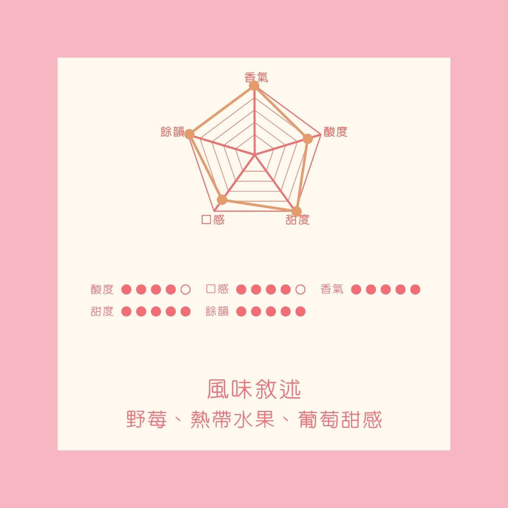 淺焙｜衣索比亞 卡法 金寶 藝伎 日曬處理法 咖啡豆 半磅(227g±5g)｜暖窩咖啡