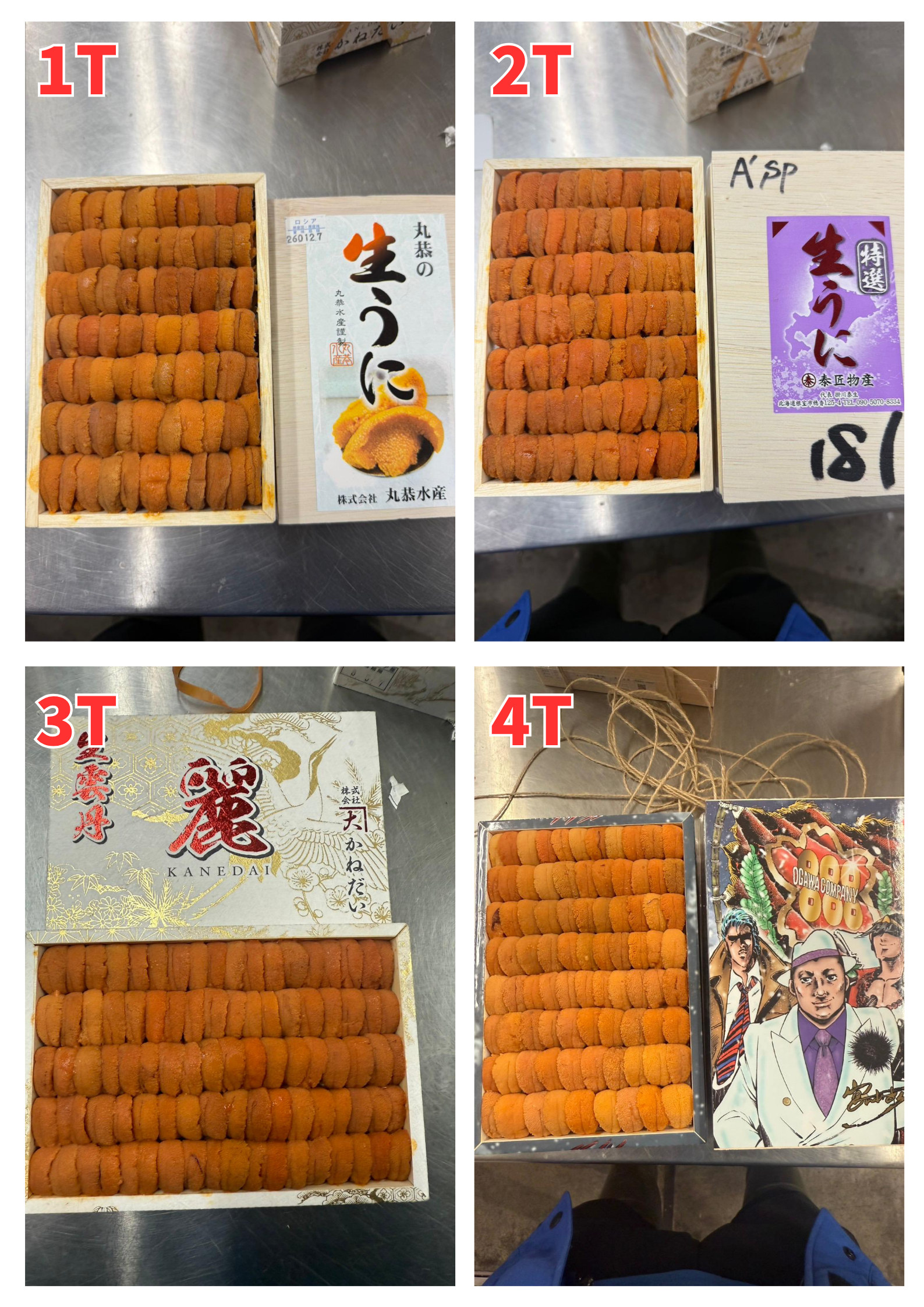 【指定海膽推薦】每天更新 (限即日落單, 翌日送)