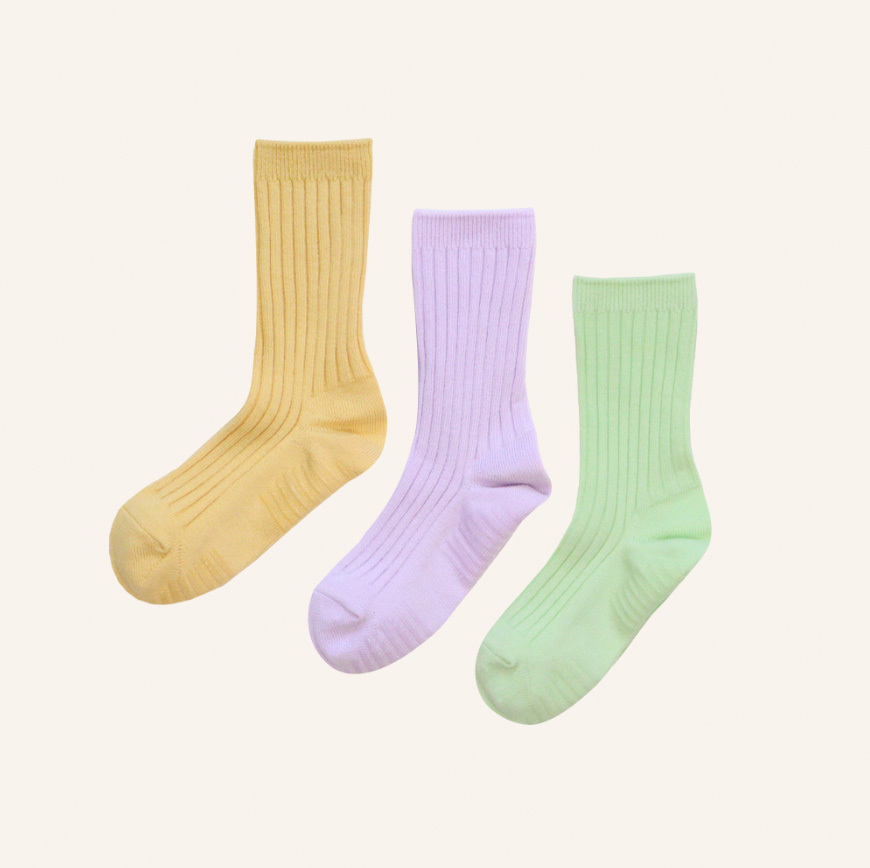 熱帶果昔色票3入組