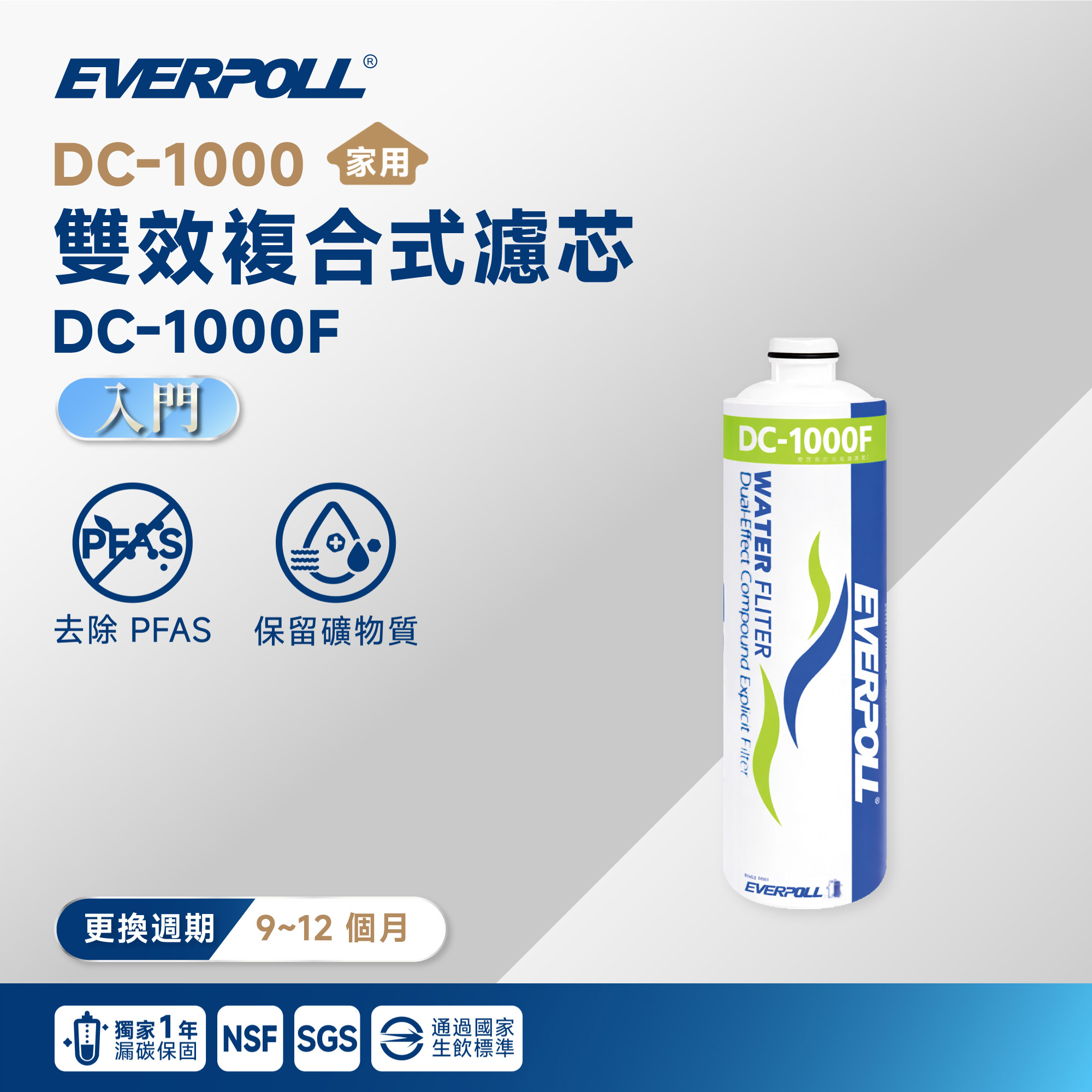 一年漏碳保固【EVERPOLL 愛科】DC-1000 雙效複合式濾芯 DC-1000F