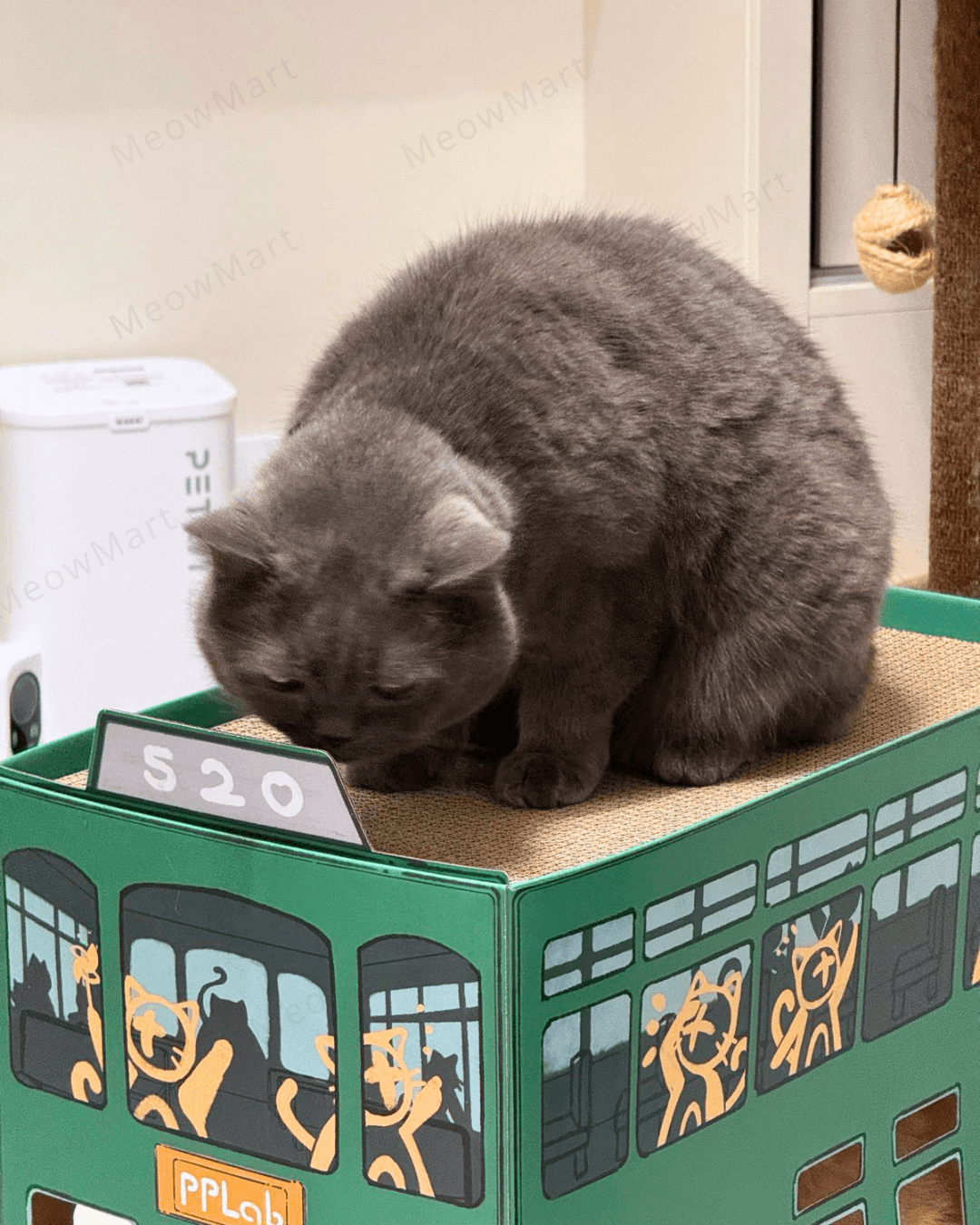 pplab 電車貓抓板