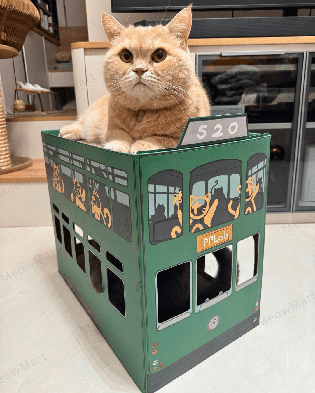 pplab 電車貓抓板