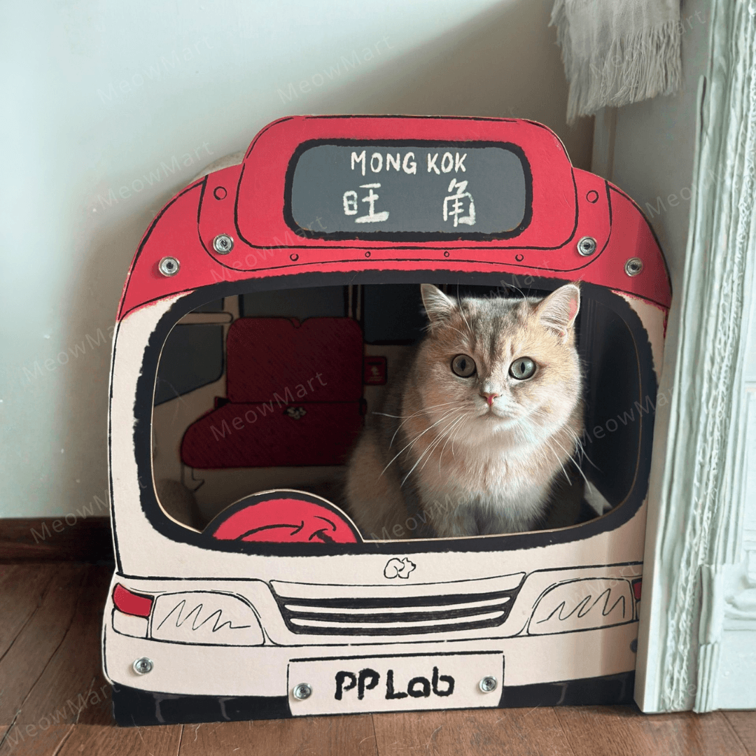 PP LAB 香港小巴貓抓板
