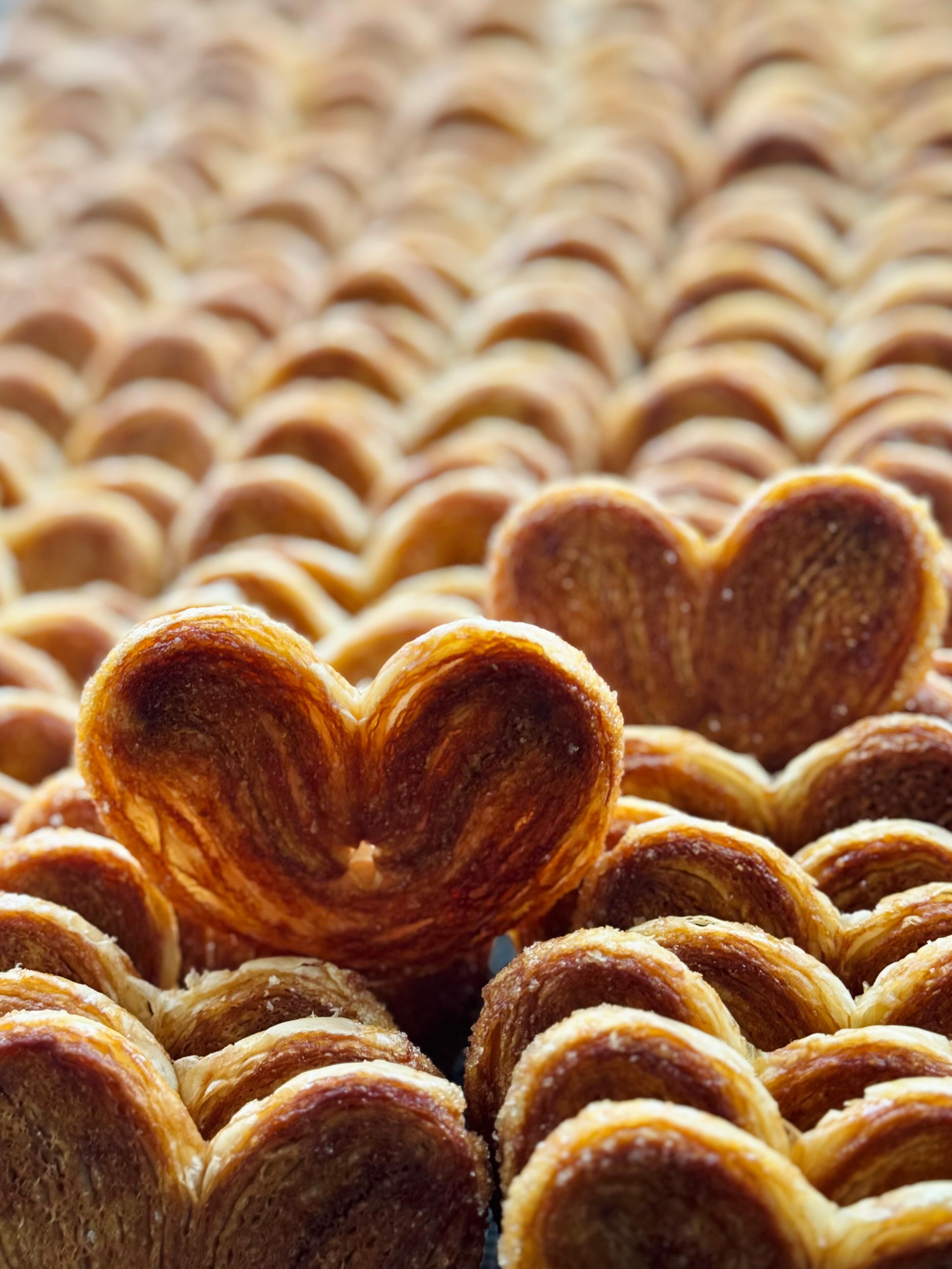 Palmier