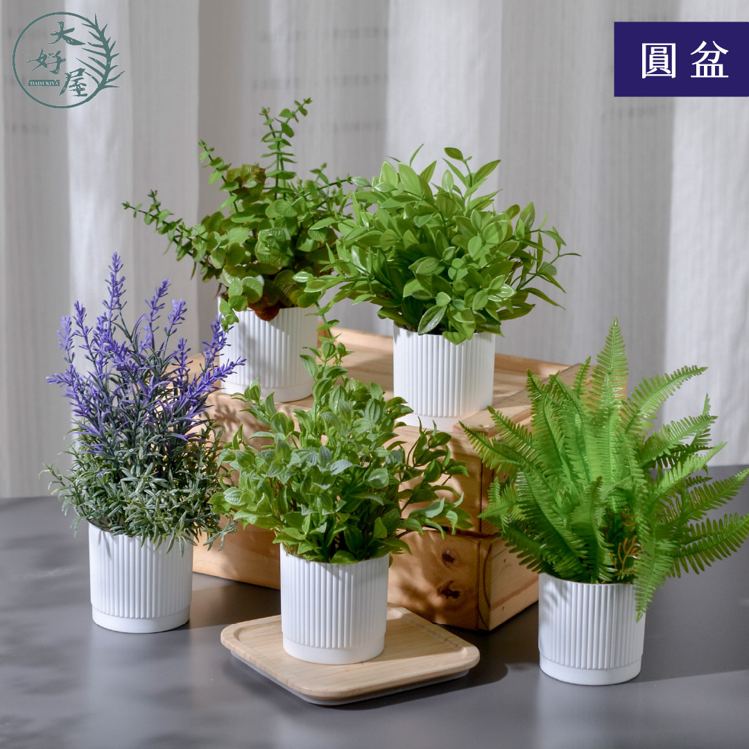 仿真迷你盆栽【圓盆】