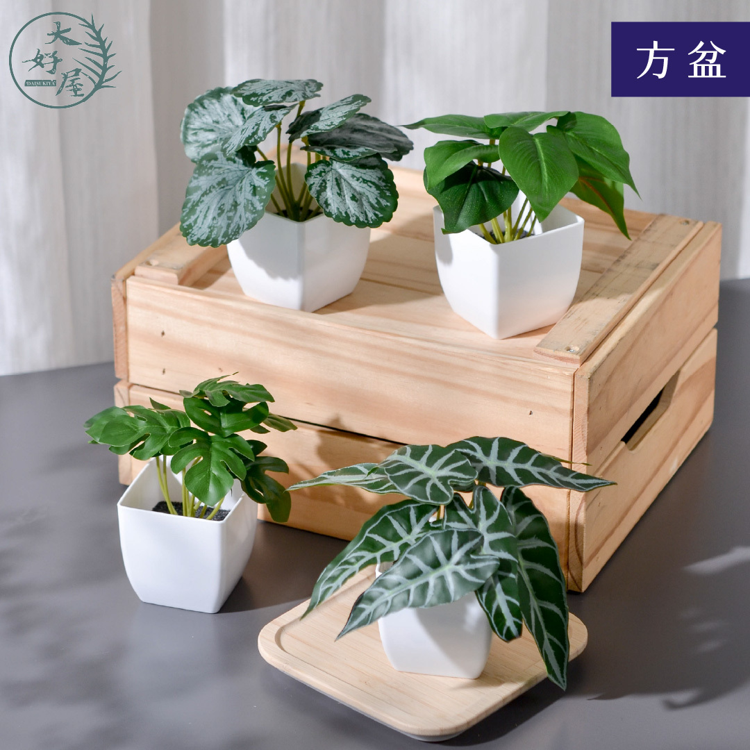 仿真迷你盆栽【方盆】